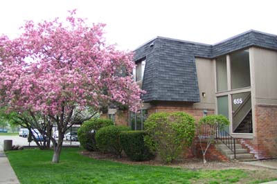 Outside Amber Creek East Apartments - Click to Enlarge